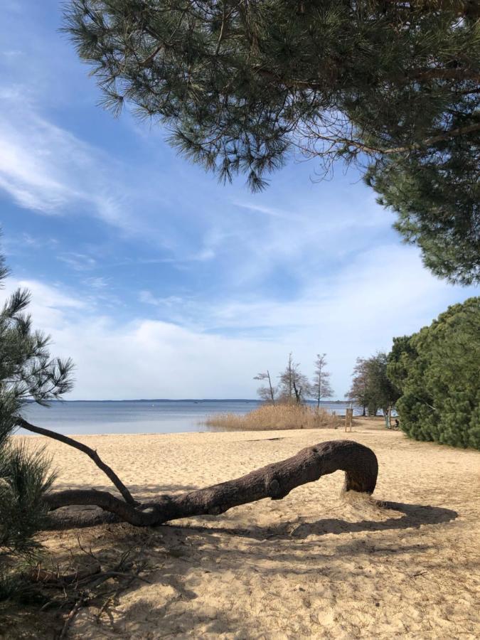 Gite Au Coeur Des Landes Lue Екстериор снимка
